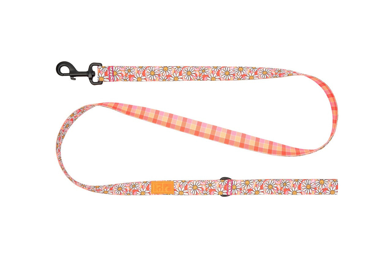 RC Pets - Eco Leash - Daisy Joy - Large
