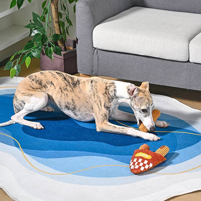 HugSmart Pet - Dog Toy - Food Party - Churros - Interactive