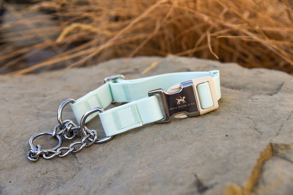 Nova Dayne & Co - Martingale - Mint - Large