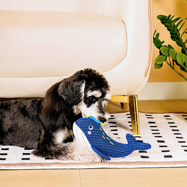 HugSmart Pet - Dog Toy - Ocean Pals - Whale