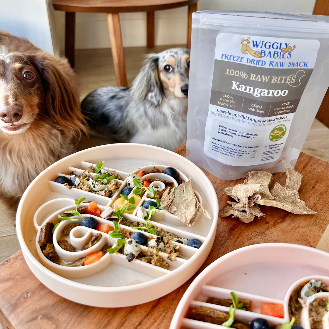 Ollie B Good - Zoomies Slow Feed Bowl - Oatmeal