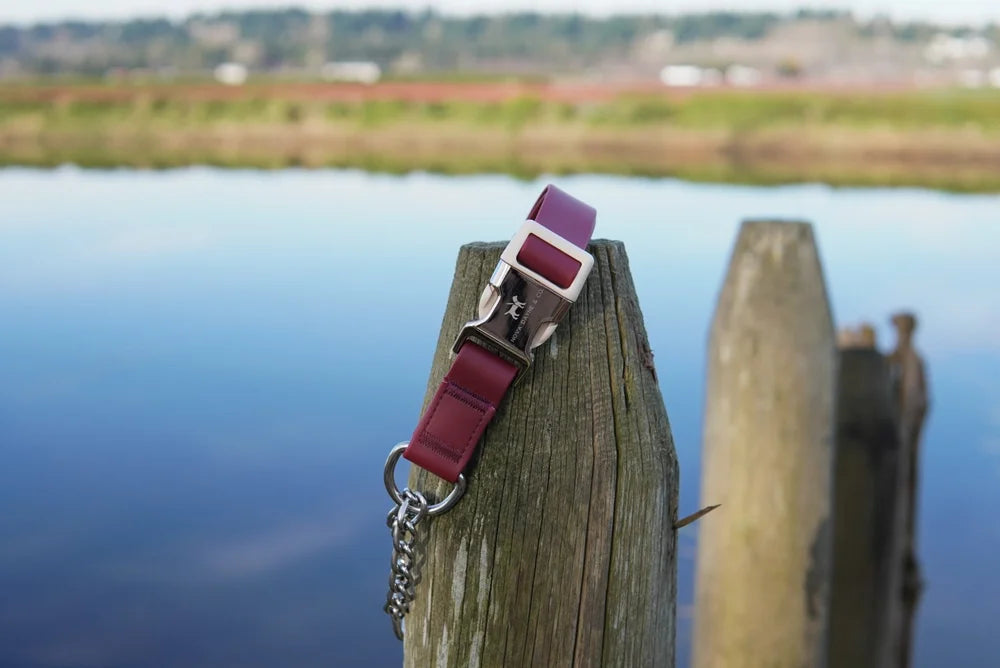 Nova Dayne - Martingale Collar - Waterproof - Bordeaux - Medium
