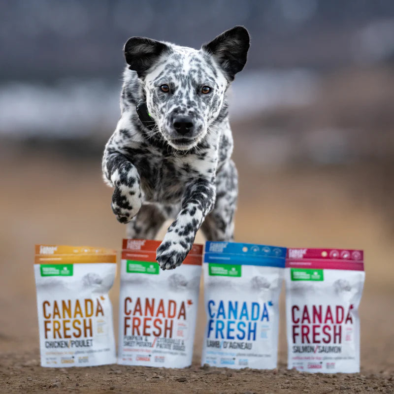 Canada Fresh - Dog Treat - Red Meat - 6 oz