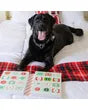 Bosco & Roxy - Advent Calendar - Essentials