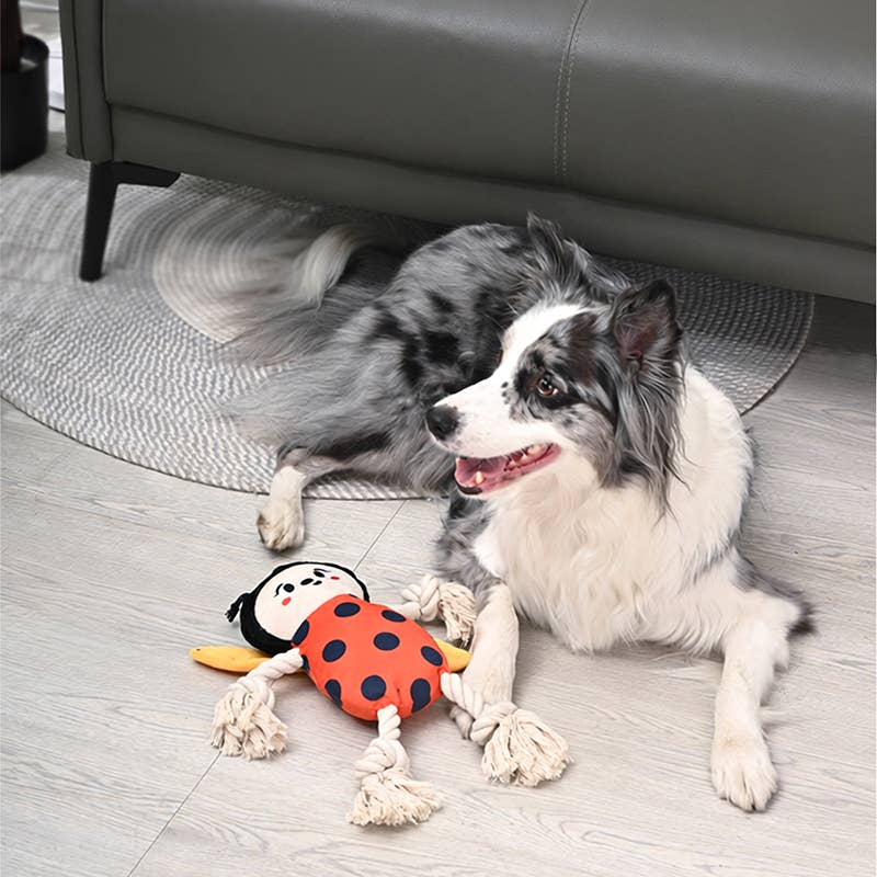 HugSmart Pet - Dog Toy - Puppy Garden - Ladybug