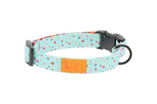 RC Pets - Eco Collar - Dainty Mint L