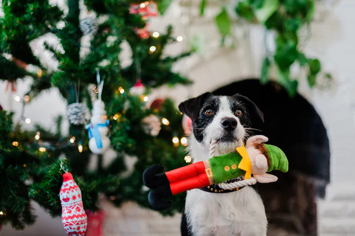 Play - Christmas Dog Toy - Santa's Little Elf