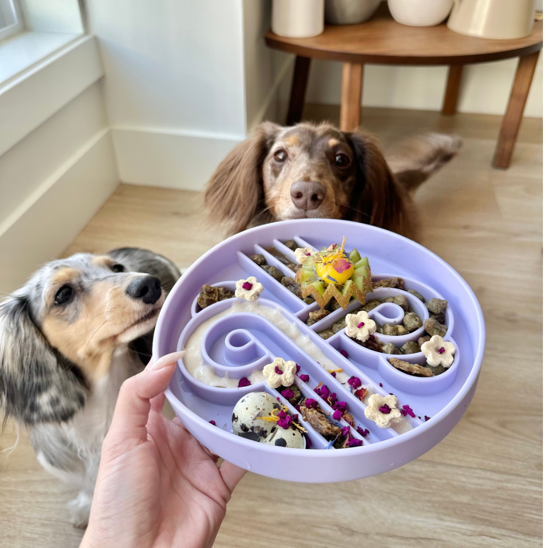 Ollie B Good - Zoomies Slow Feed Bowl - Fig