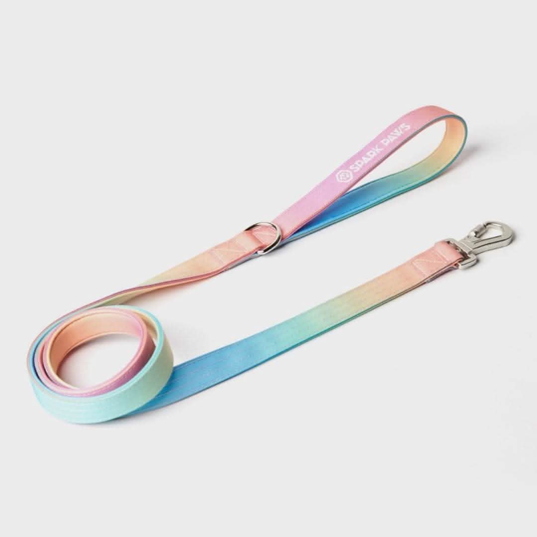 Leash and Poop Bag Holder Set - Pastel Icing: OS