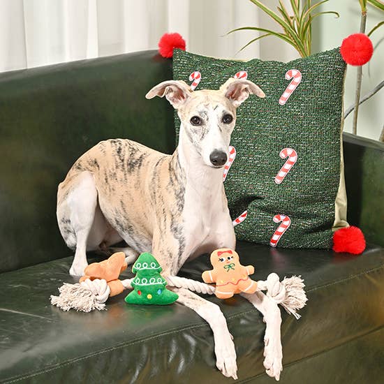 HugSmart Pet - Happy Woofmas | Holiday Gingerbread Man