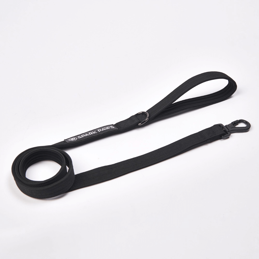 Leash and Poop Bag Holder Set - Black: OS