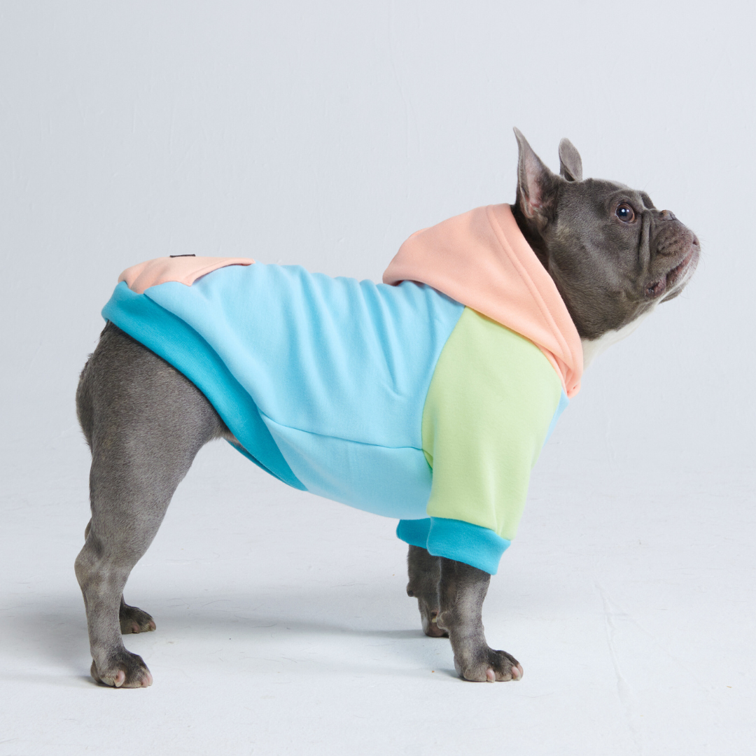 Spark Paws - Dog Hoodie - Jelly Bean - XL