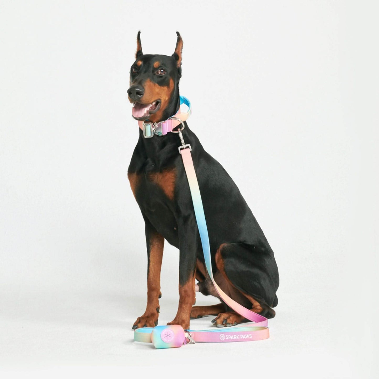 Leash and Poop Bag Holder Set - Pastel Icing: OS