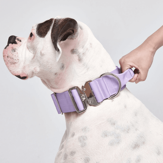 Spark Paws - Tactical Dog Collar - Lilac - 2" Medium