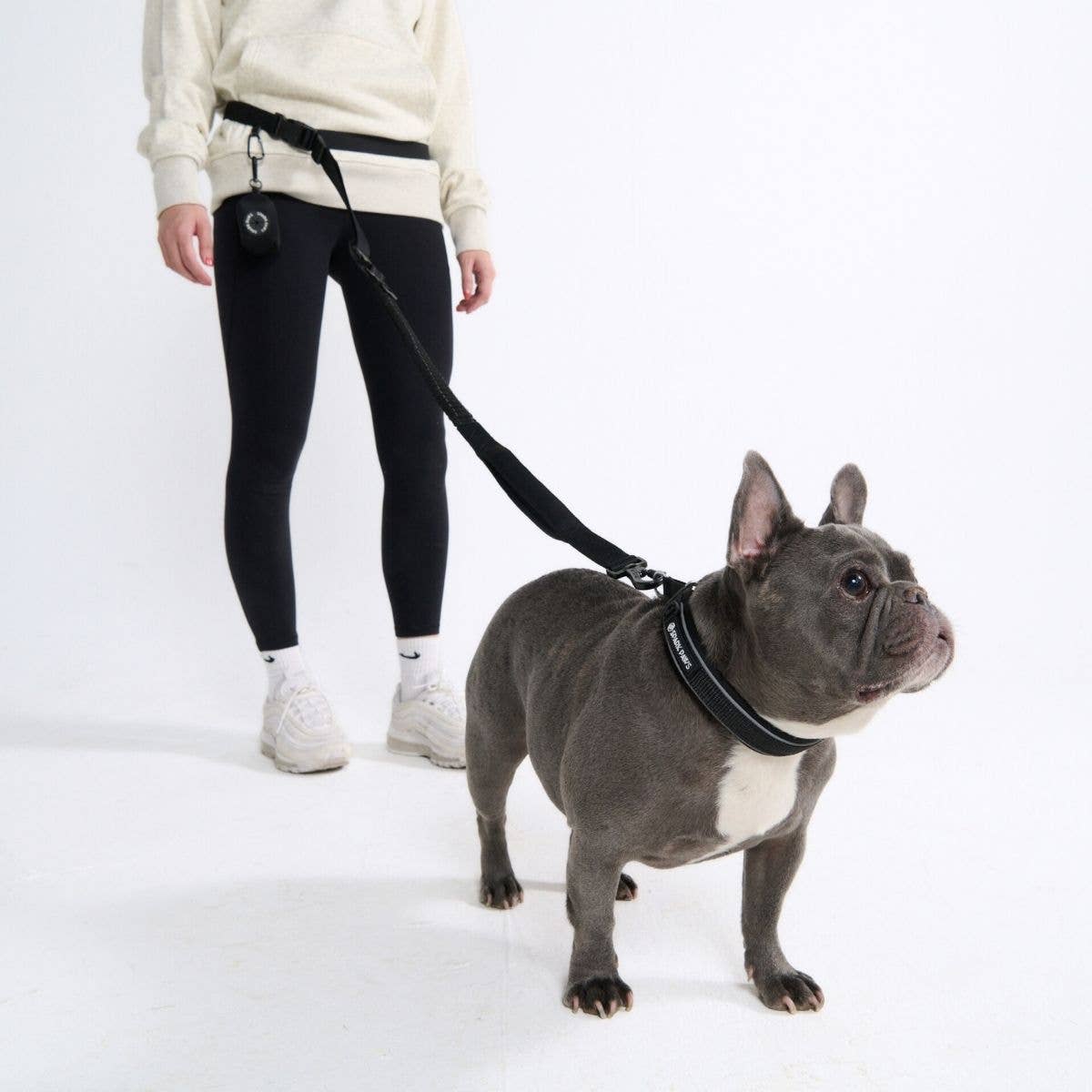 Multipurpose Seatbelt Handsfree Leash & Poop Bag Holder Set - Black: OS