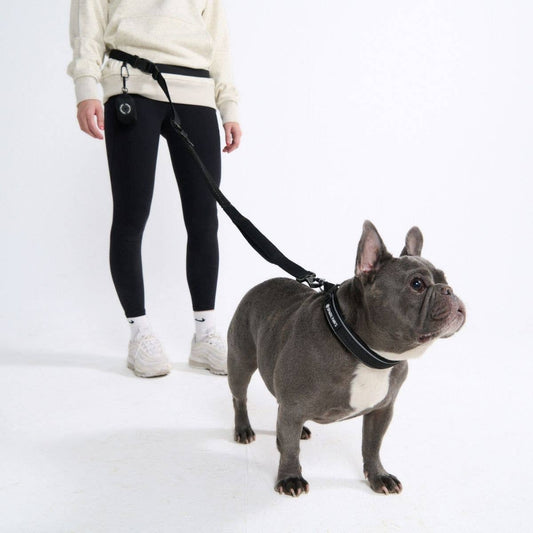 Multipurpose Seatbelt Handsfree Leash & Poop Bag Holder Set - Black: OS