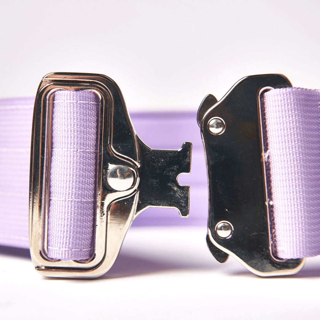 Spark Paws - Tactical Dog Collar - Lilac - 2" Medium