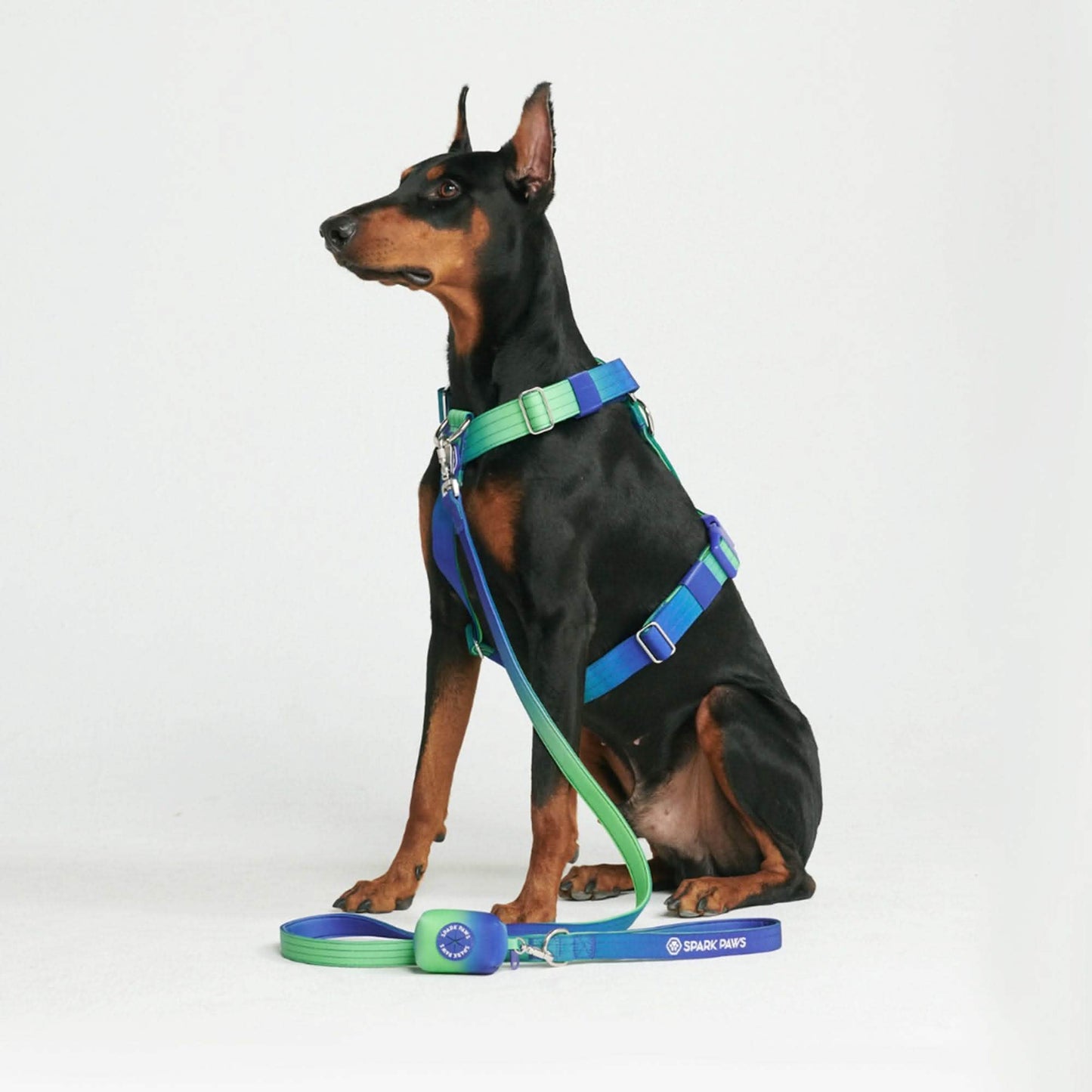 Leash and Poop Bag Holder Set - Lime Wave: OS