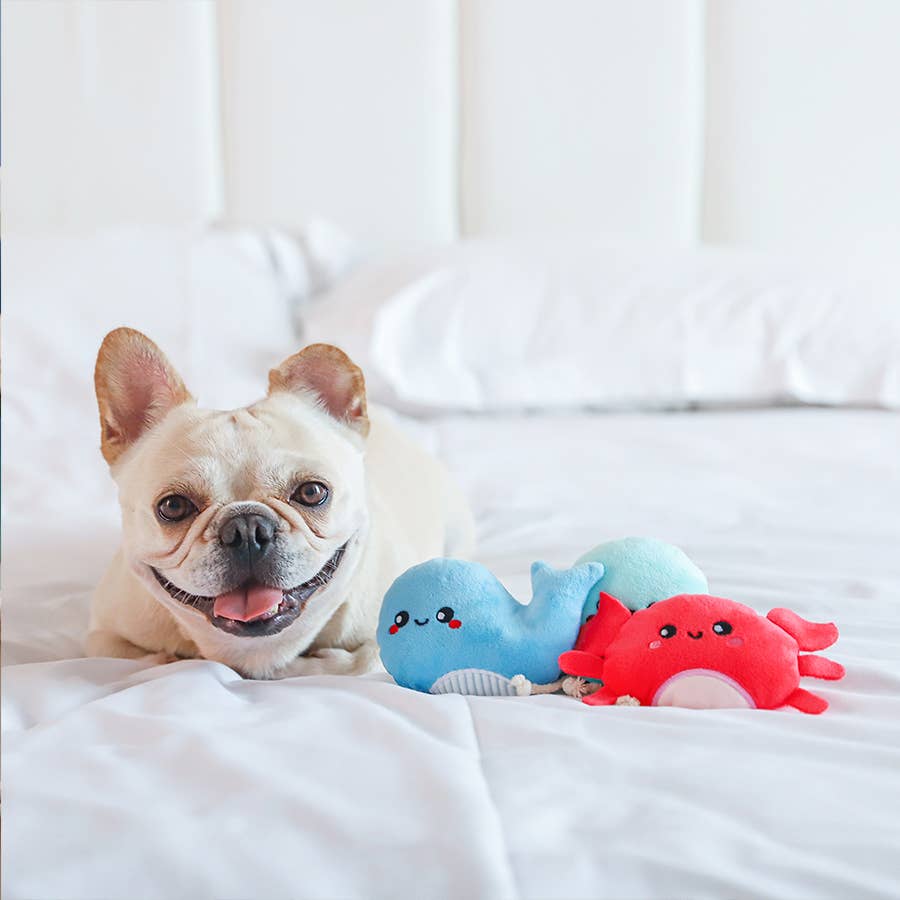 HugSmart Pet - Dog Toy - Ocean Pals - Sea Creatures