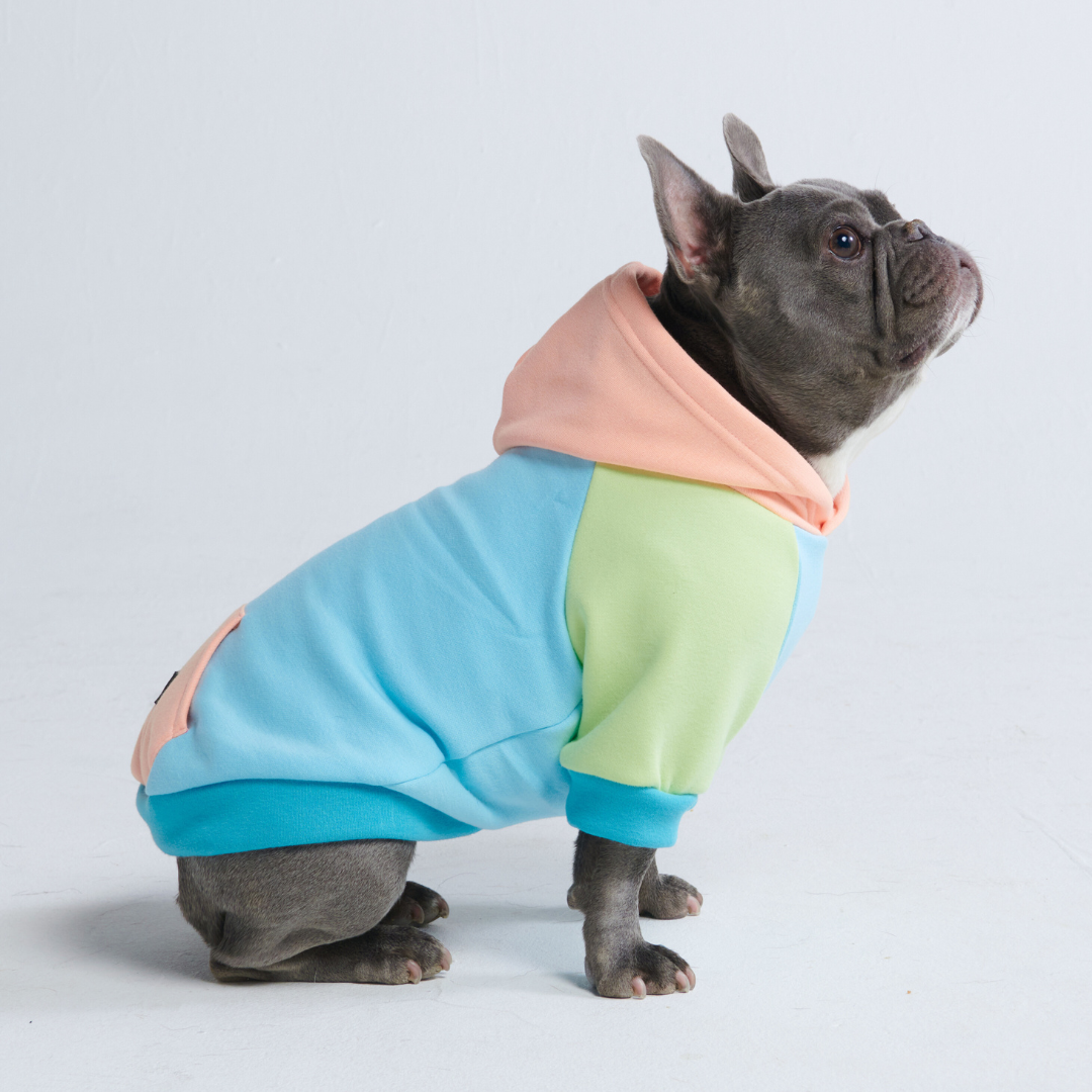 Spark Paws - Dog Hoodie - Jelly Bean - M