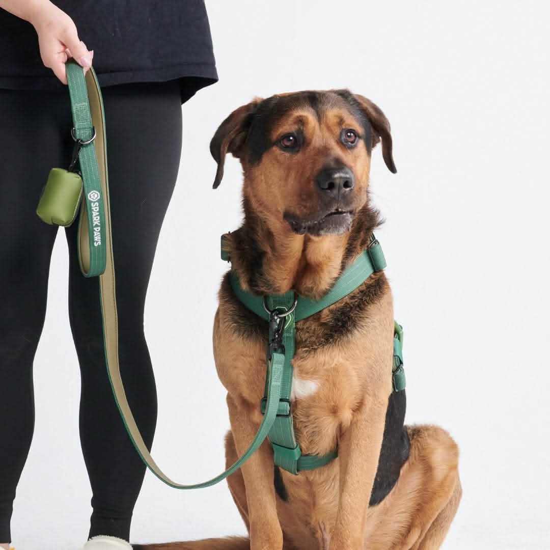 Leash and Poop Bag Holder Set - Army Green: OS