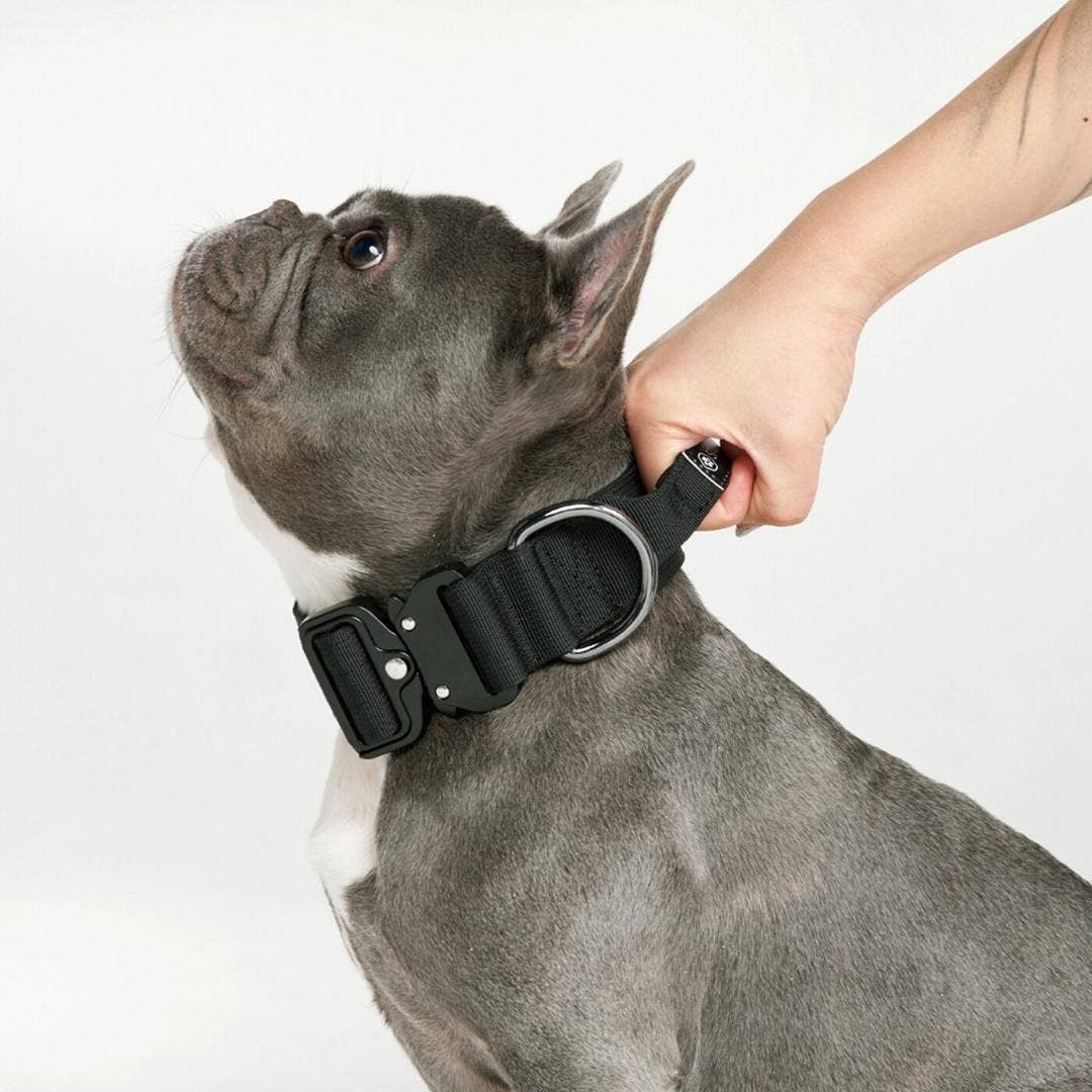 Tactical Dog Collar - Black (1.5"/4cm): S