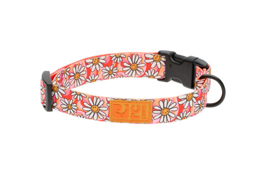 RC Pets - Eco Dog Collar - Daisy Joy - S