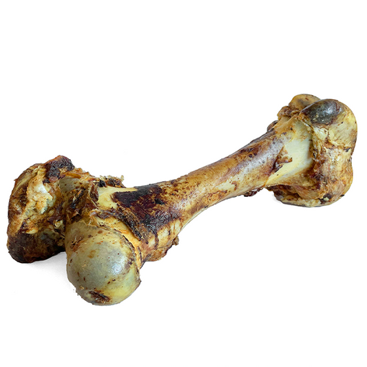 Open Range - Dog Chew - Cured Dino Bone
