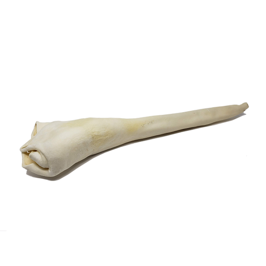 Open Range - Dog Chew - Full Length Bull Tail - Large