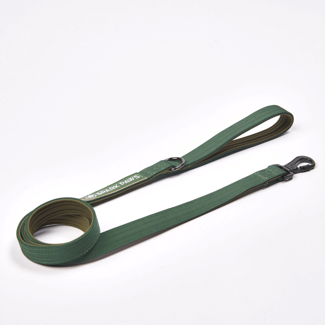 Leash and Poop Bag Holder Set - Army Green: OS