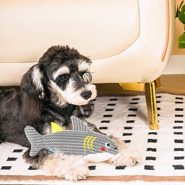 HugSmart Pet - Dog Toy - Ocean Pals - Shark