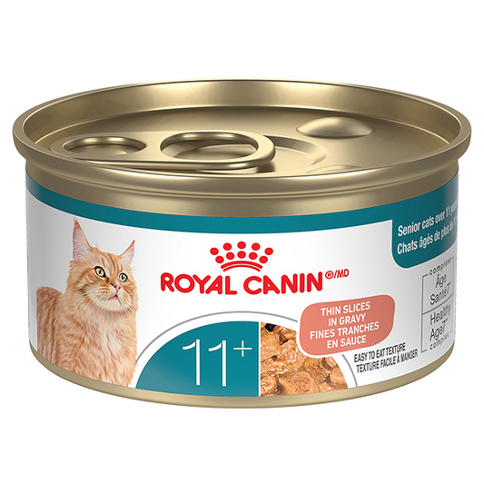 RC FHN Aging 11+ - Thin Slices in Gravy - 85g