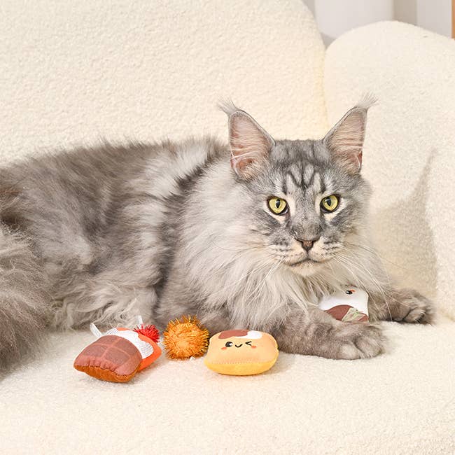 HugSmart Pet - Cat Toy - Camping Claws - Cat S'mores