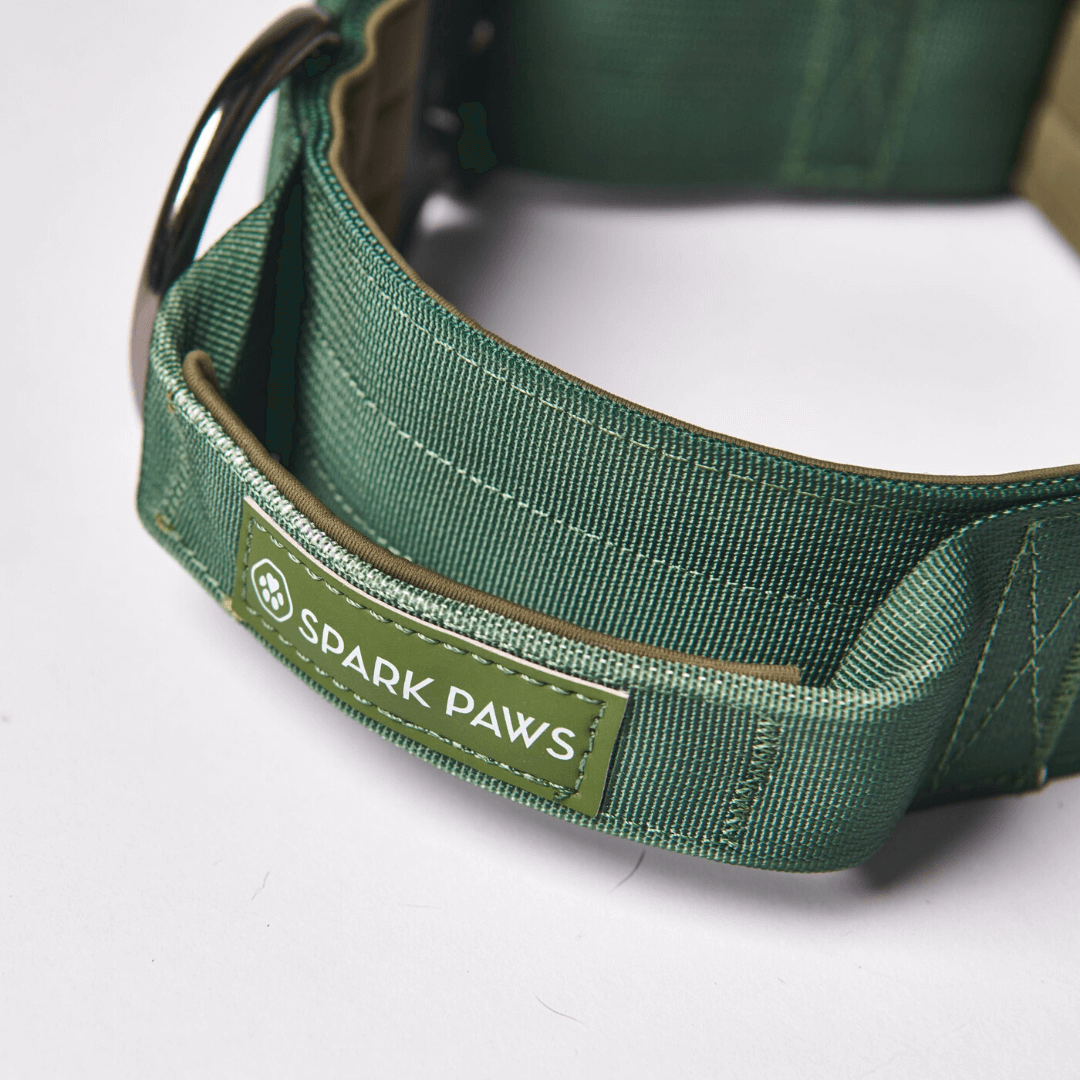 Spark Paws - Tactical Dog Collar - Army Green - 2" Medium