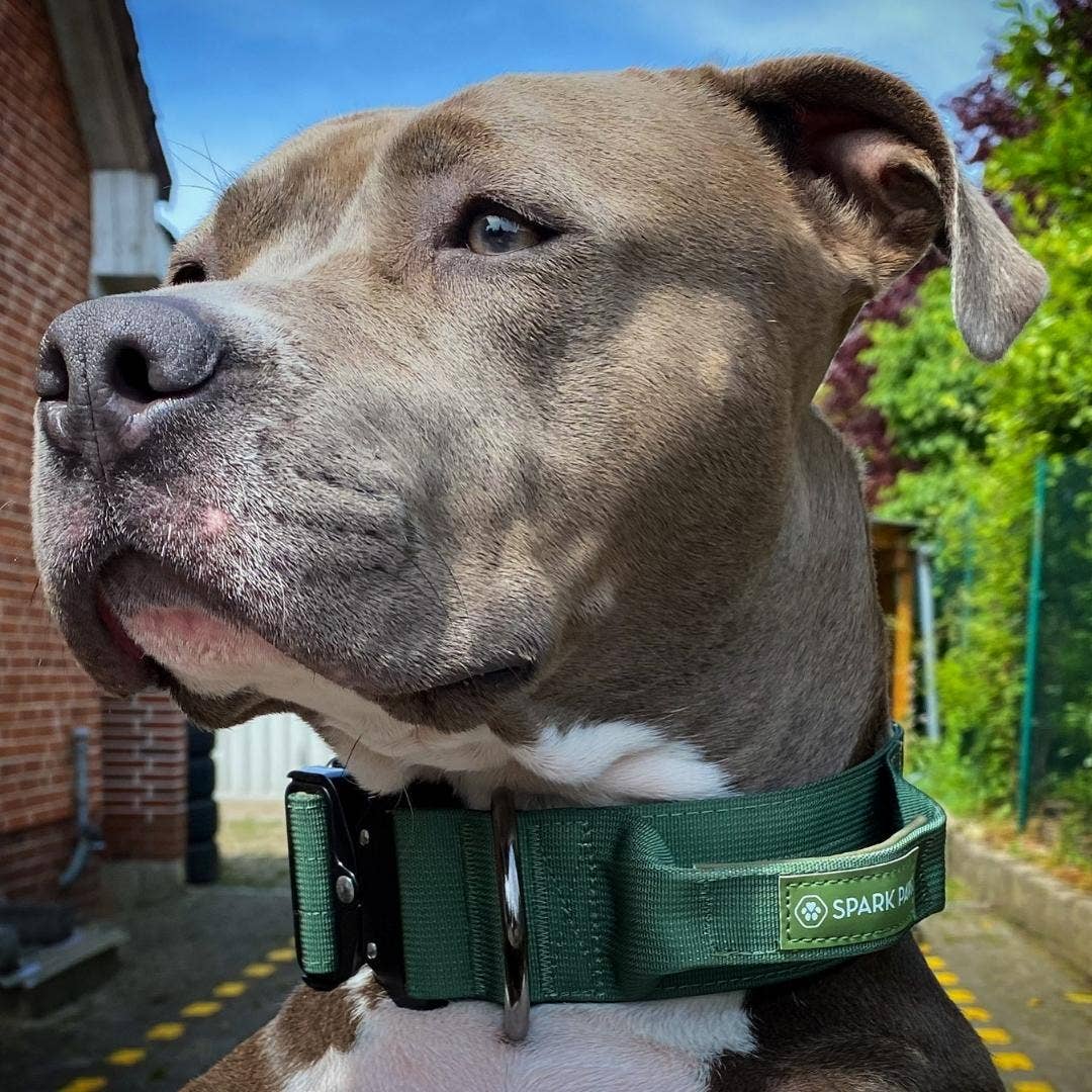 Spark Paws - Tactical Dog Collar - Army Green - 2" Medium