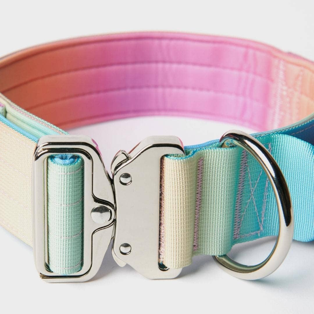 Spark Paws - Tactical Dog Collar - Pastel Icing - 2" Medium