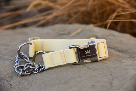 Nova Dayne & Co - Martingale - Lemon - Large