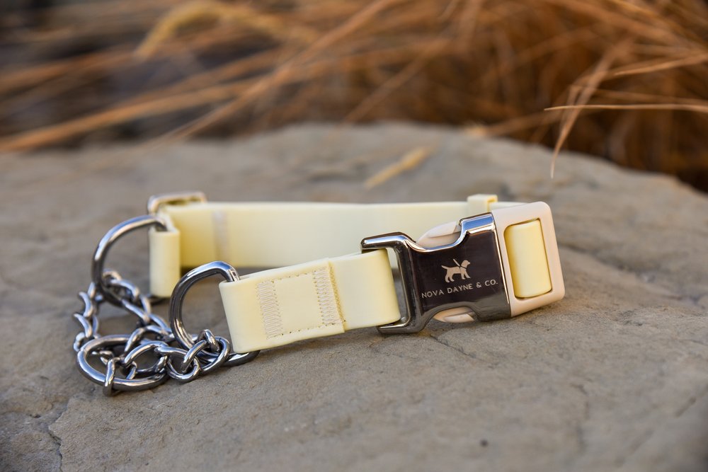 Nova Dayne & Co - Martingale - Lemon - Medium