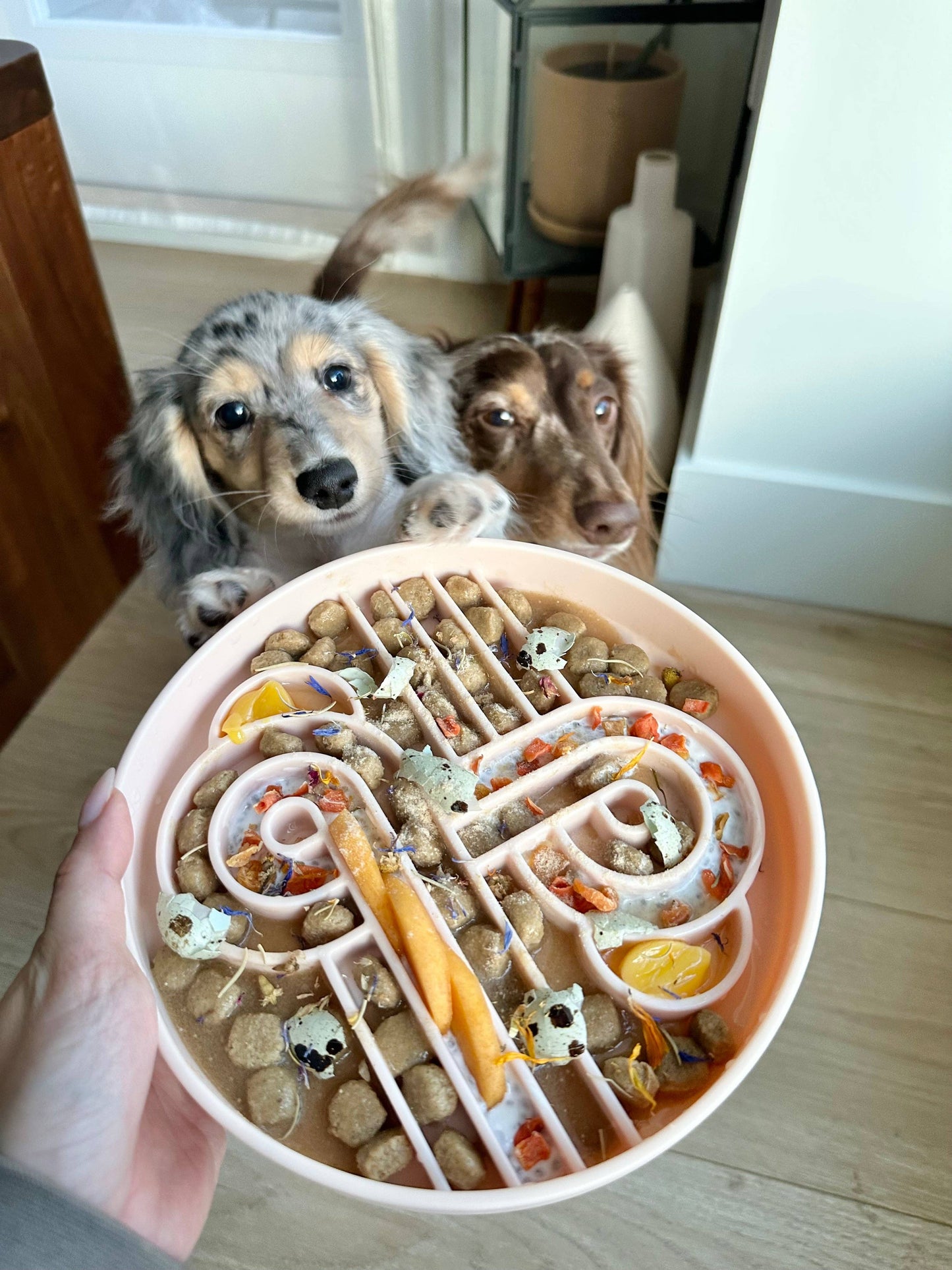 Ollie B Good - Zoomies Slow Feed Bowl - Peach