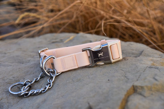 Nova Dayne & Co - Martingale - Peach - Large