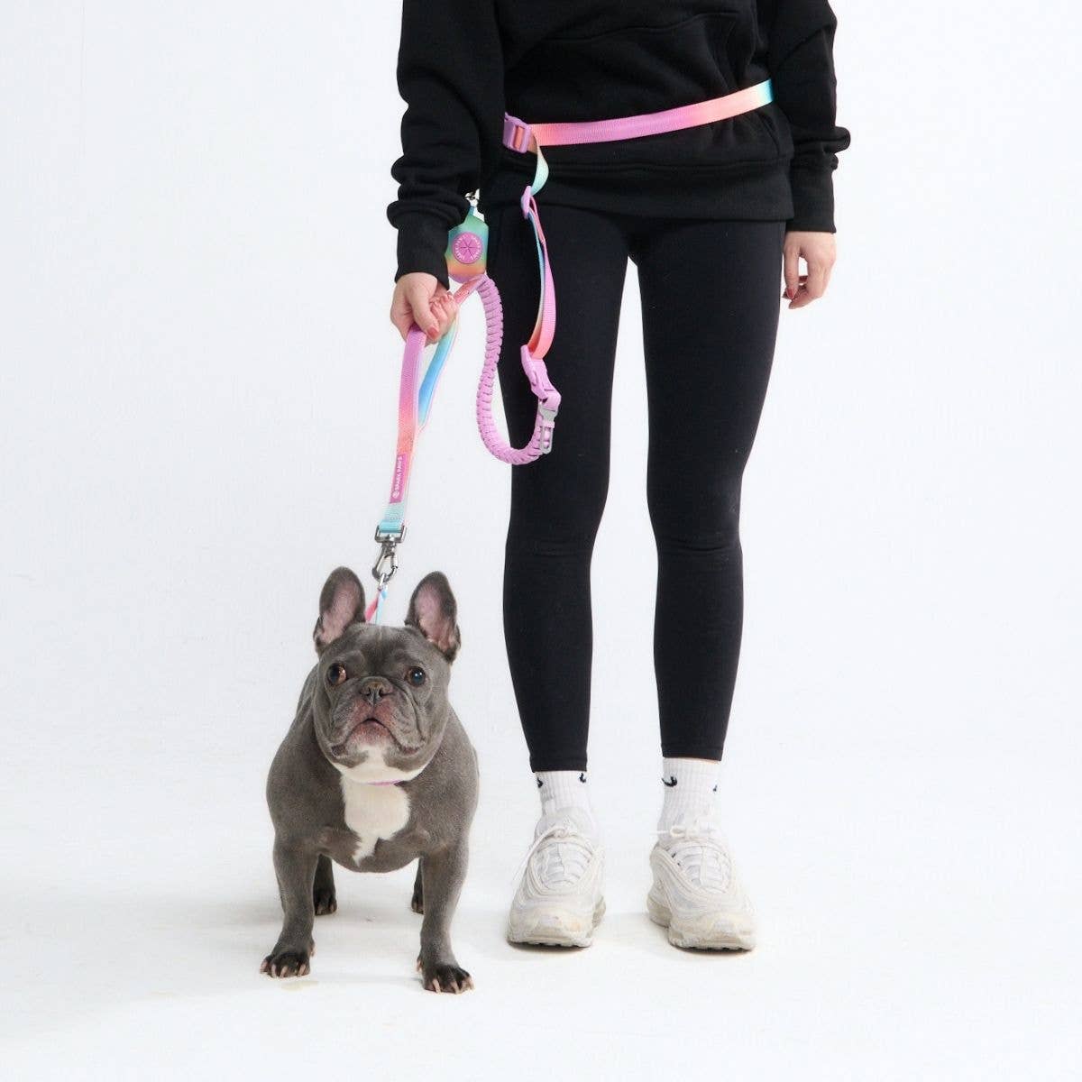Multipurpose Seatbelt Handsfree Leash & Poop Bag Holder Set - Pastel Icing: OS