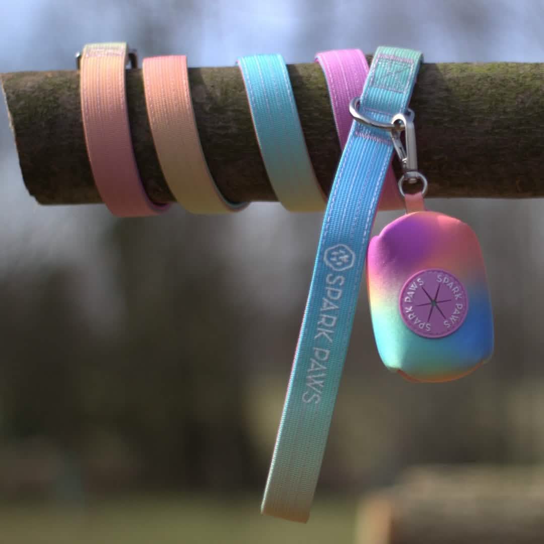 Leash and Poop Bag Holder Set - Pastel Icing: OS