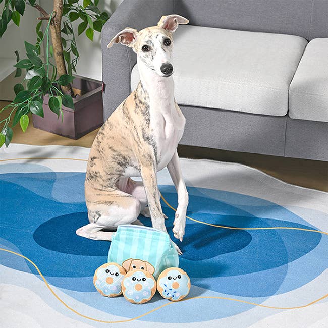 HugSmart Pet - Dog Toy - Food Party - Donuts - Interactive