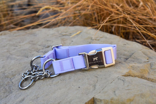 Nova Dayne & Co - Martingale - Plum - Large