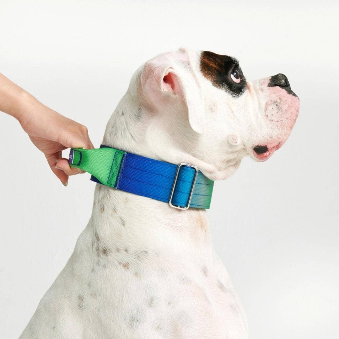 Spark Paws - Tactical Dog Collar - Lime Wave - 2" Medium