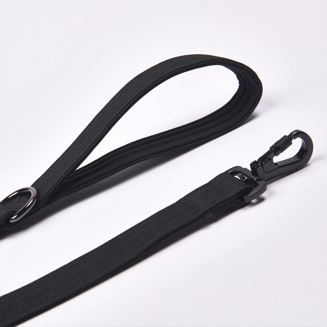 Leash and Poop Bag Holder Set - Black: OS