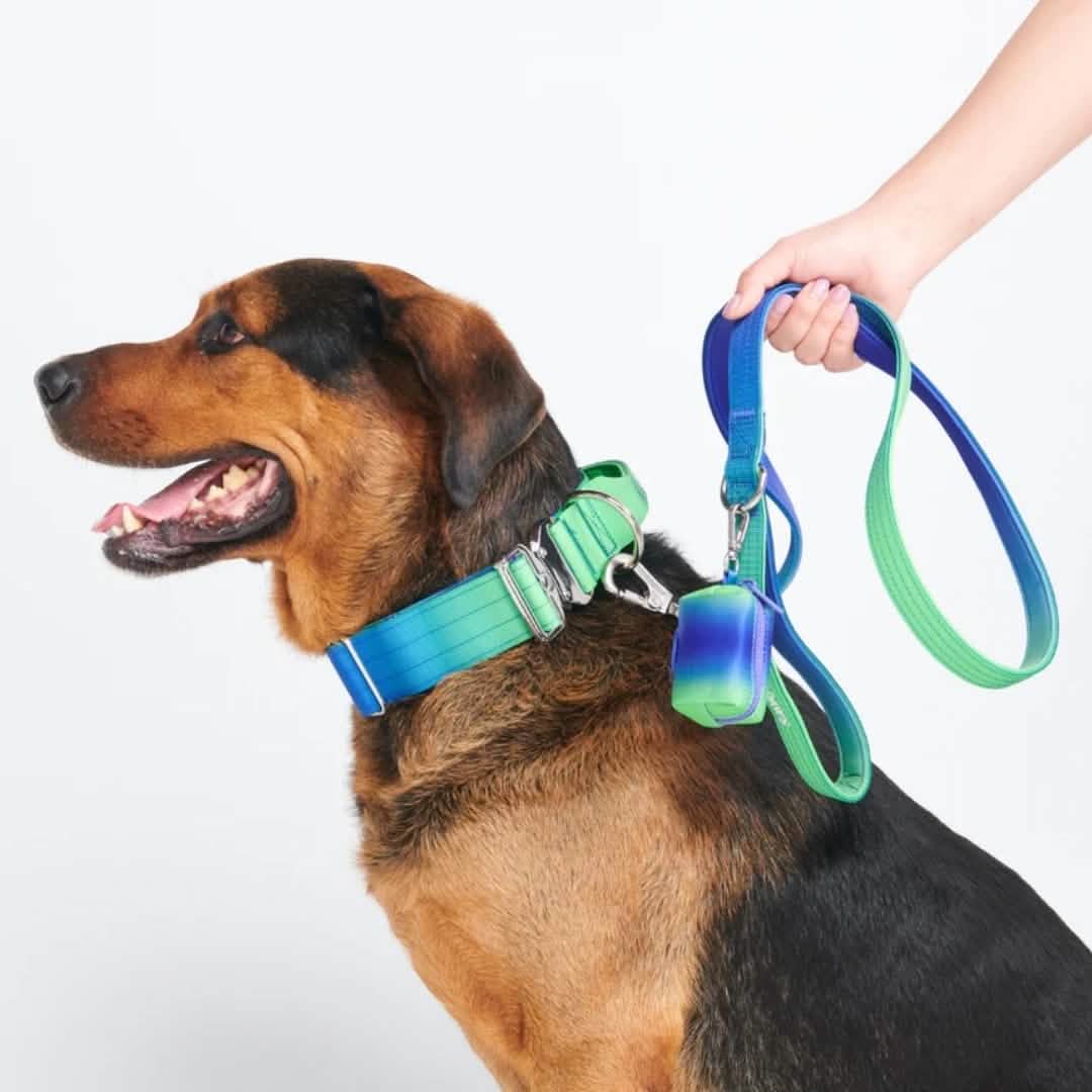 Leash and Poop Bag Holder Set - Lime Wave: OS