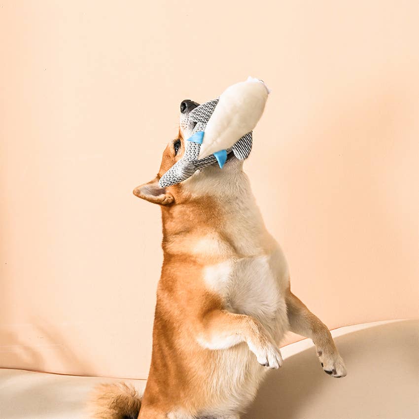 HugSmart Pet - Dog Toy - Ocean Pals - Shark