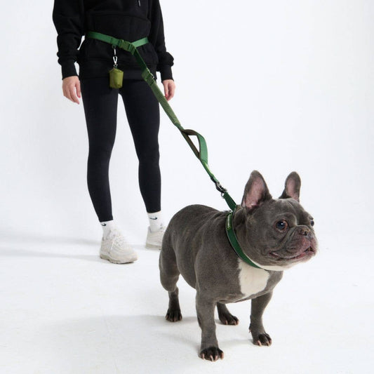 Multipurpose Seatbelt Handsfree Leash & Poop Bag Holder Set - Army Green: OS