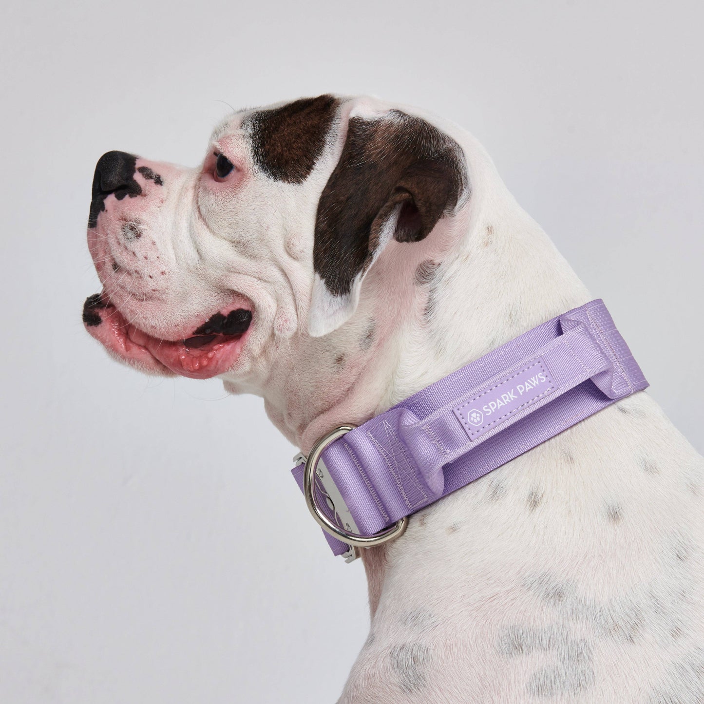 Spark Paws - Tactical Dog Collar - Lilac - 2" Medium